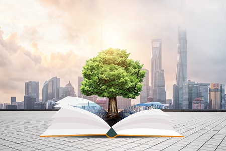 2022年上海交通大學MBA招生流程 2022年上海交通大學MBA招生流程