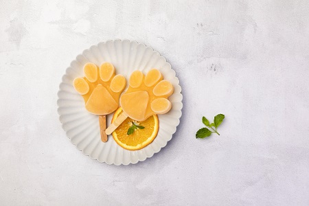 中國社會科學(xué)院研究生院在職博士招生條件介紹 中國社會科學(xué)院研究生院在職博士招生條件介紹