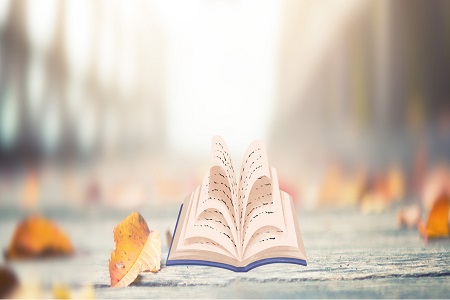 山東大學MEM招生流程 山東大學MEM招生流程