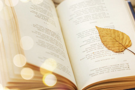 上海財經大學MPAcc招生流程 上海財經大學MPAcc招生流程