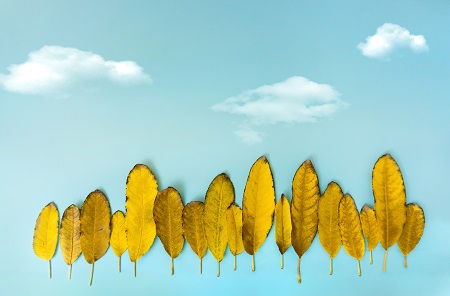 2022年南昌大學MPA招生流程介紹! 2022年南昌大學MPA招生流程介紹!