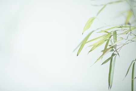 首都經濟貿易大學中外合作辦學招生優勢是什么? 首都經濟貿易大學中外合作辦學招生優勢是什么?