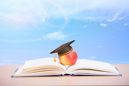 刑法學在職博士招生院校匯總!哪個學校好? 刑法學在職博士招生院校匯總!哪個學校好?