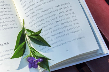 寧夏醫科大學在職研究生招生類型 寧夏醫科大學在職研究生招生類型