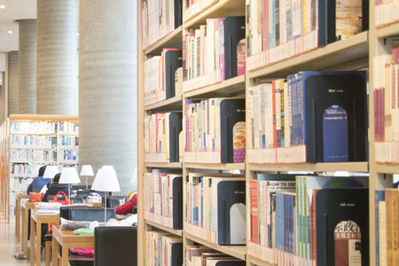 天津同等學力申碩招生報名時間 天津同等學力申碩招生報名時間