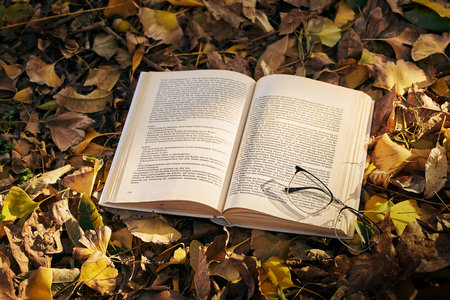 馬來西亞科技大學(xué)國際博士招生條件 馬來西亞科技大學(xué)國際博士招生條件