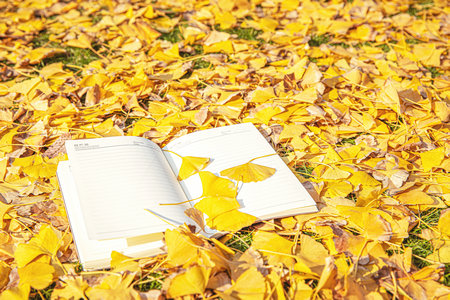 新聞傳播學高級研修班招生時間 新聞傳播學高級研修班招生時間