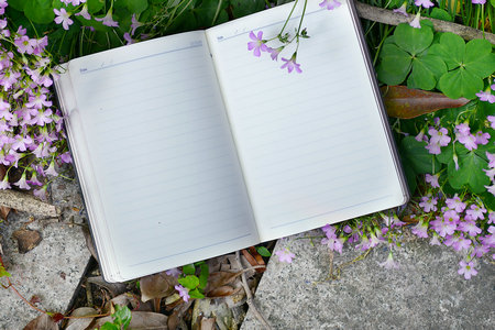 湖北工業(yè)大學(xué)在職研究生動(dòng)力工程碩士招生信息 湖北工業(yè)大學(xué)在職研究生動(dòng)力工程碩士招生信息