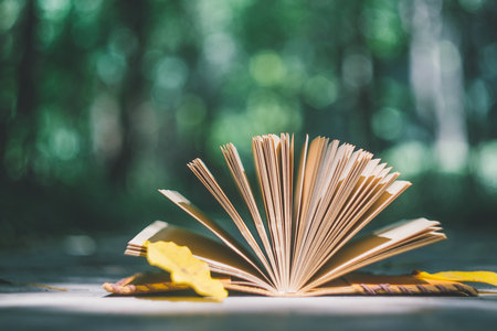 英國薩福克大學在北京地區招生情況