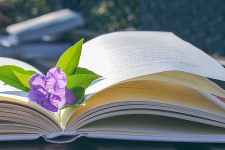 倫敦銀行與金融學院國際博士招生專業目錄一覽表！