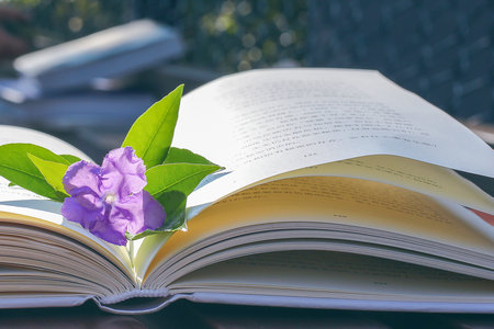 倫敦銀行與金融學院國際博士招生專業目錄一覽表 倫敦銀行與金融學院國際博士招生專業目錄一覽表