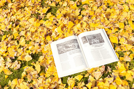 2025上海國家會計學院在職研究生招生時間