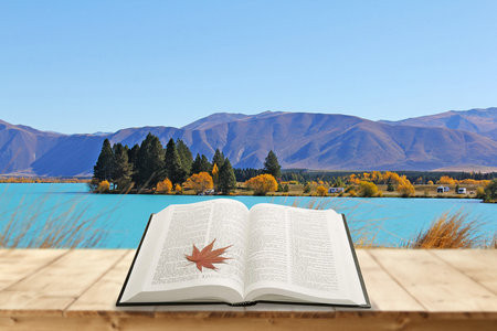 臨床醫(yī)學非全日制研究生招生簡章2025