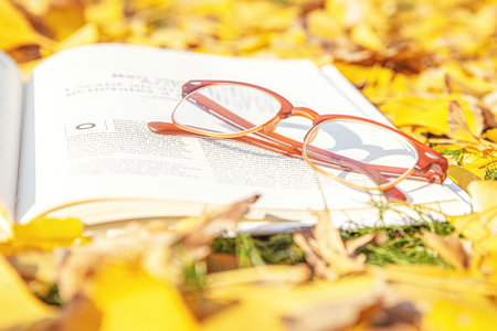 發(fā)展與教育心理學(xué)在職博士招生簡(jiǎn)章 發(fā)展與教育心理學(xué)在職博士招生簡(jiǎn)章