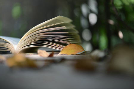 2025年車輛工程在職研究生招生簡章