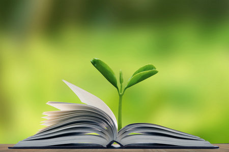 教育領(lǐng)導與管理中外合辦招生信息 教育領(lǐng)導與管理中外合辦招生信息