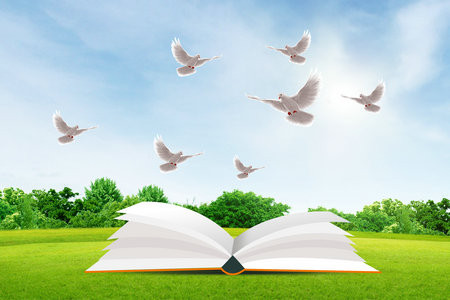 2026法國亞眠高等商學院國際博士招生條件