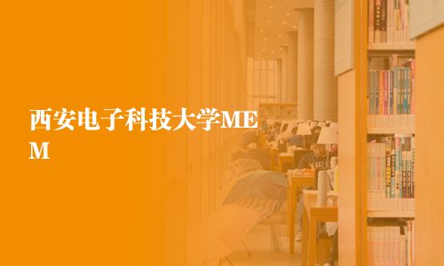 西安電子科技大學MEM