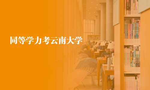 同等學力考云南大學