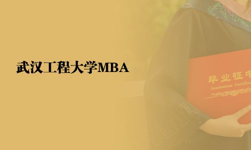 武漢工程大學MBA