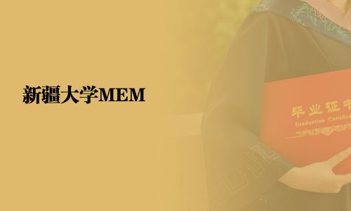 新疆大學MEM
