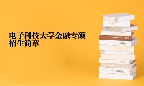 電子科技大學金融專碩招生簡章