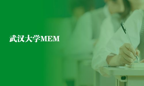 武漢大學MEM