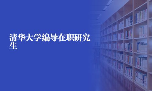 清華大學編導在職研究生
