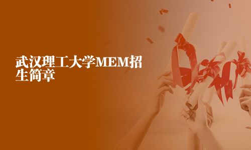 武漢理工大學(xué)MEM招生簡章