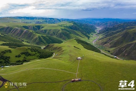 第四屆亞草賽凱旋而歸圖片02 第四屆亞草賽凱旋而歸圖片02
