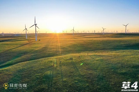 第四屆亞草賽凱旋而歸圖片06 第四屆亞草賽凱旋而歸圖片06