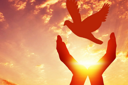 中國哲學(xué)在職研究生報(bào)考人群 中國哲學(xué)在職研究生報(bào)考人群