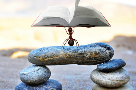 民商法學在職博士報考人群 民商法學在職博士報考人群