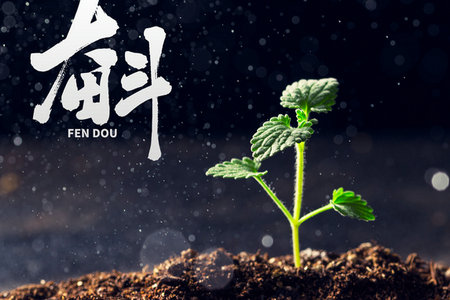 企業管理國際碩士學制學費 企業管理國際碩士學制學費