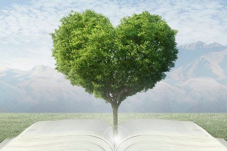 青島農(nóng)業(yè)大學(xué)在職研究生報名時間 青島農(nóng)業(yè)大學(xué)在職研究生報名時間