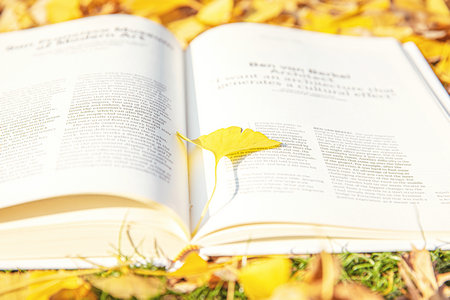 江西財經大學同等學力行政管理專業招生詳情 江西財經大學同等學力行政管理專業招生詳情