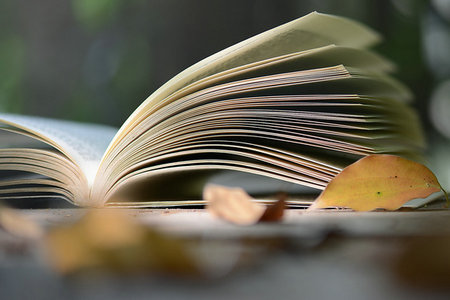 西南財經大學在職研究生報考條件及報名時間 西南財經大學在職研究生報考條件及報名時間