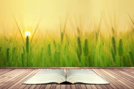 西華師范大學非全日制研究生準考證打印時間 西華師范大學非全日制研究生準考證打印時間