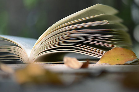 安徽財經大學在職研究生MBA招生條件 安徽財經大學在職研究生MBA招生條件