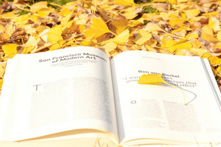 東北石油大學MBA招生條件 東北石油大學MBA招生條件