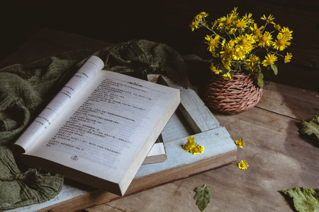 中國政法大學知識產權法在職研究生招生信息 中國政法大學知識產權法在職研究生招生信息