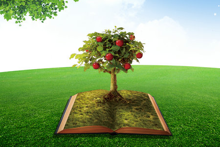 西安郵電大學(xué)信息與通信工程在職研究生報(bào)考條件 西安郵電大學(xué)信息與通信工程在職研究生報(bào)考條件