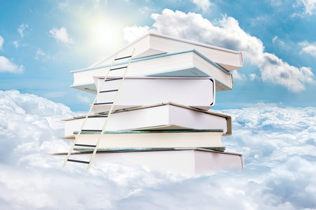 海南大學(xué)在職研究生招生條件 海南大學(xué)在職研究生招生條件