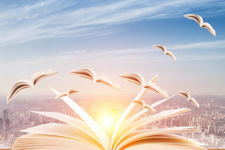 深度分析！廣東海洋大學同等學力申碩招生條件！