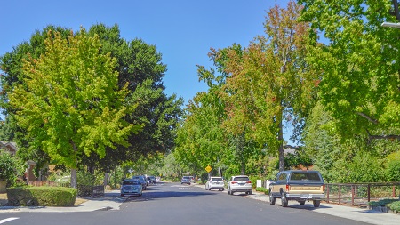  大連理工大學MF就業方向是怎樣的？