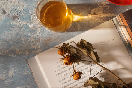 新鄉醫學院基礎醫學在職研究生需要脫產學習嗎 新鄉醫學院基礎醫學在職研究生需要脫產學習嗎