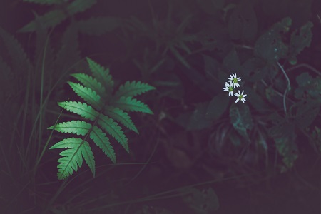 準備讀首都經濟貿易大學在職研究生的你，知道這些福利嗎？