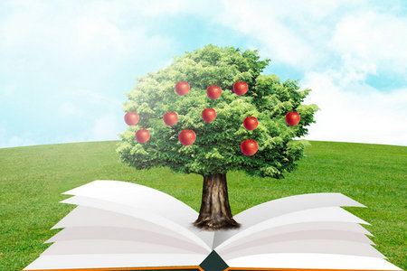 南京大學MEM招生信息 南京大學MEM招生信息