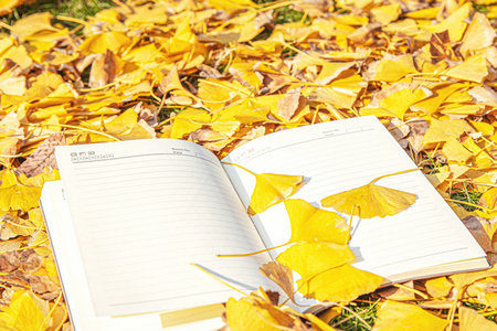 山東大學金融專碩招生時間 山東大學金融專碩招生時間