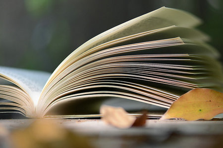 東北大學在職研究生報名時間 東北大學在職研究生報名時間